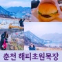 해피초원목장 입장료 카페 한우 햄버거 포토존 정보 후기