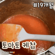 돌아기 무염 유아식 레시피 :: 아기 토마토 케첩 케찹 만들기