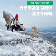 [북한산 : 백운대] 북한산 설경 백련사-진달래능선-용암문-만경대-백운대-하루재 코스 북한산 설산풍경