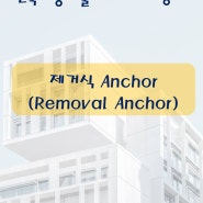 건축시공기술사(용어 서브노트) - 제거식 Anchor(Removal Anchor)