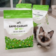 고양이 카사바 모래 꼬뜨 샌드 카사바그린