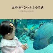 [오키나와 여행] 츄라우미 수족관, 16개월아기랑