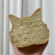 서울 식빵 맛집_성수동 밀도 쫀득한 담백식빵과 고양이식빵