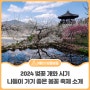 2024 벚꽃 개화 시기 - 나들이 가기 좋은 봄꽃 축제 소개