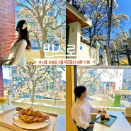 서울 상봉역 빈스로드 카페 3월 목련꽃 개화 데이트하기 좋은 힐링 카페