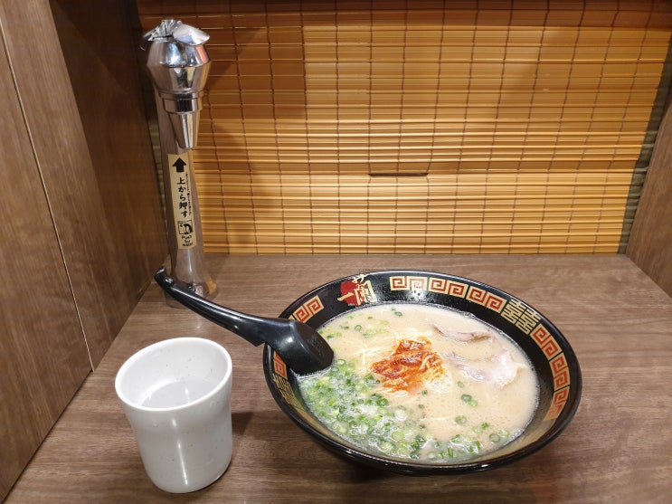오사카 돈키호테 우메다본점 및 우메다 맛집 이치란라멘(一蘭ラー....
