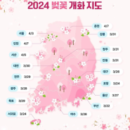 2024 부산 벚꽃 명소 전국 벚꽃 개화시기 정보 알려드려
