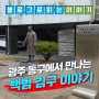 광주 동구에서 만나는 백범 김구 이야기 in 광주백범기념관
