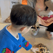 [애니멀랜드] 구미 산동 아이와 가볼만한 실내 동물먹이주기 체험