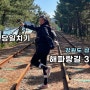 [트레킹] 해파랑길30코스 8km 후기 ♥ 용굴촛대바위, 삼척 레일바이크, 케이블카, 알레버스 당일치기