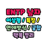 ENTP 남자 연애방식 이상형 엔팁 팩폭정리 특징 종결
