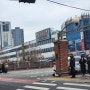 서울 종로 약국거리에서 동대문종합시장까지 후기