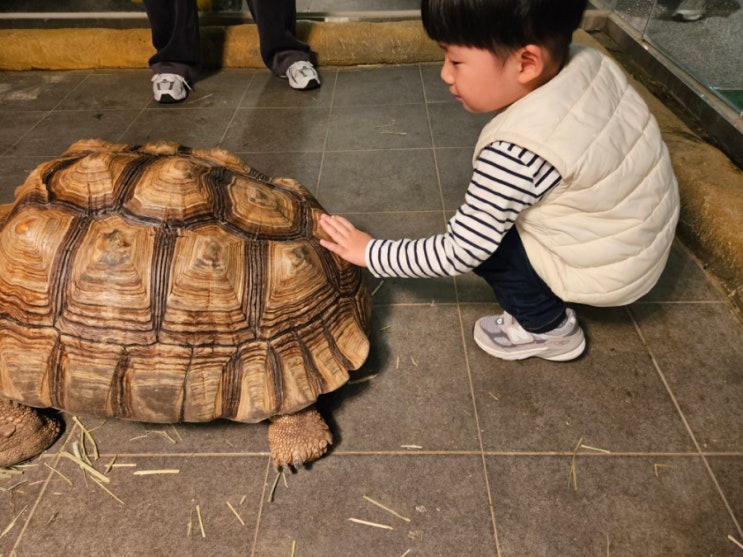 가평 신비 동물원 실내 동물원 새로 오픈 깔끔한 컨디션