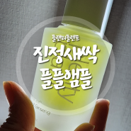 색소침착+피부진정 멜팅리프 새싹진생 "플플앰플" 새싹인삼원물함유