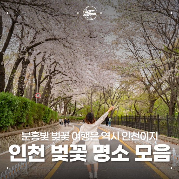 인천 벚꽃 명소 데이트 가볼만한곳 자유공원 월미공원 수봉공원