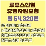 루푸스신염 유병자 암보험 가입 사례