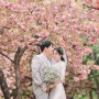 서울 야외웨딩스냅 핑크핑크한 겹벚꽃과 초록의 향연 캐주얼 셀프웨딩 by 사랑스냅