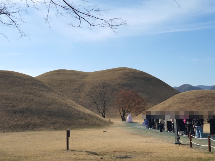 산책하기 좋은 곳(+주차장 추천, 비단벌레 전동차, 스탬프 투어)