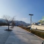 부산대학교 캠퍼스 산책