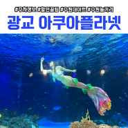 광교 아쿠아플라넷 주차 할인 정보 수원 데이트 코스 놀거리 추천