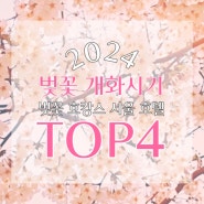 2024 벚꽃 개화시기 서울 벚꽃 명소 즐기기 좋은 호텔 TOP4