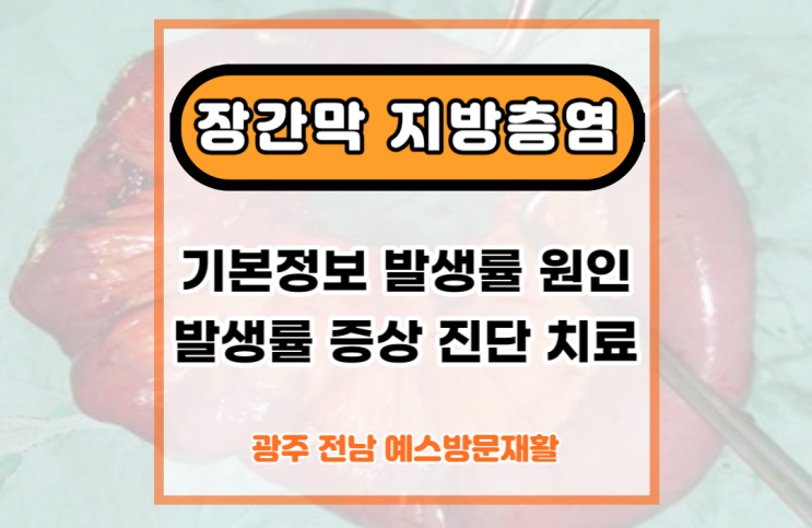 장간막 지방층염 (Mesenteric Panniculitis) 지방층염, 기본 정보, 원인, 증상, 진단, 치료 정보 ...