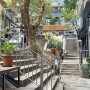 홍콩 여행 : 소호 벽화거리, 미드레벨 에스컬레이터, 만모사원