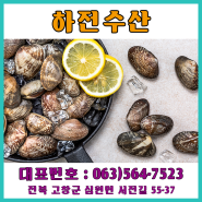 [전북고창] 고창하전갯벌바지락동죽/바지락동죽도매전문/바지락동죽온라인구매/고창활조개구매/하전갯벌조개/고창하전수산/하전수산영어조합법인