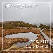 뉴질랜드 여행 | 키서밋(Key Summit): 뉴질랜드 남섬 자유여행 트레킹 코스 추천, 키서밋 알파인 네이쳐 워크, 밀포드사운드 근교 트레킹