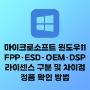 윈도우11 FPP ESD OEM DSP 라이센스 구분 차이점 및 정품 확인 방법