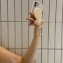 EQL 소비기록 - 영리영리 savon pop 비누그립톡 / PINOF soap case