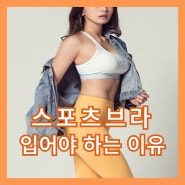 계산동헬스장 (운동하는 여자 필독) : 스포츠브라 입어야 하는 이유