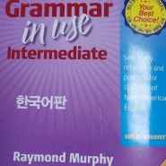 [성안당 캠브리지 서포터즈 2기] GRAMMAR IN USE Intermediate 한국어판으로 영문법 공부하기 2