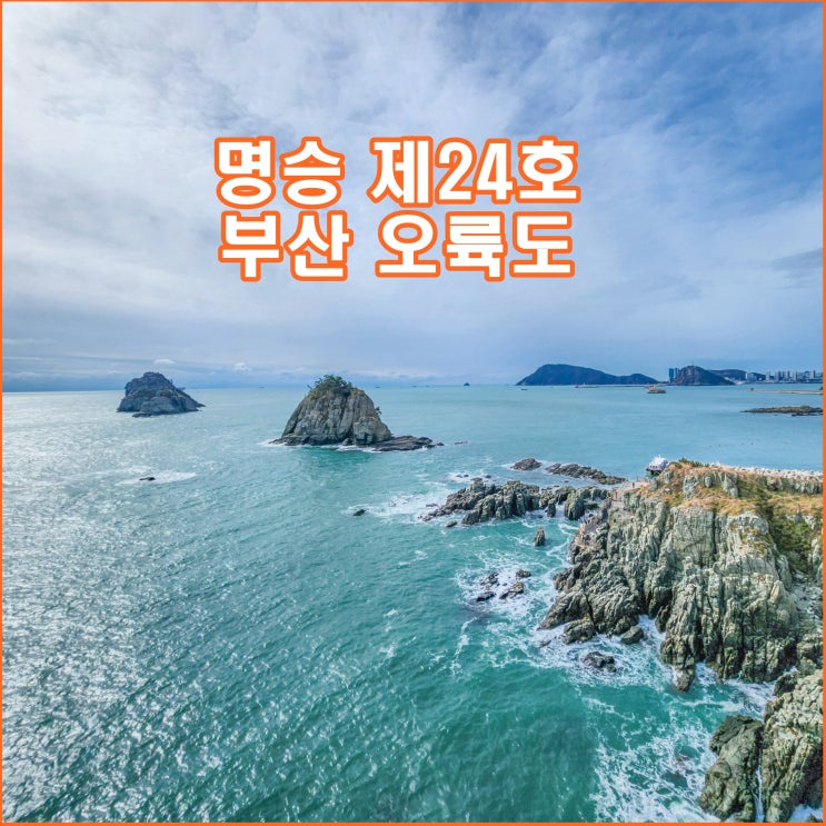 수선화 피어난 부산 오륙도 해맞이공원 스카이워크 주차장