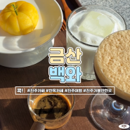 진주 백와 금산 한옥 카페 맛집 추천 반려견 동반 가능