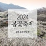 [여행 정보] 2024년 봄축제 / 봄꽃 축제 일정