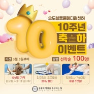 [연수구동물병원]"10살이 된 송도힐동물병원!10주년 축하 EVENT" [24시송도힐동물메디컬센터]