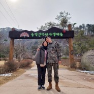 서울 근교 갈만한곳 홍천수타사 공작산생태숲