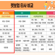 펫보험