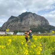 [제주여행]18개월 아기랑 제주도여행 2일차 #산방산유채꽃 #고집돌우럭