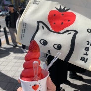 [맛집] 다음 날 또 구매한 여수 딸기모찌