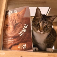 [책 추천] 전지적 고양이 시점, 고양이의 마음을 알고 싶다면!