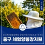 꿀벌 키워보실래요? 대전 중구 도시민 체험양봉장 운영지원 사업 신청(3.4~3.15)하세요!
