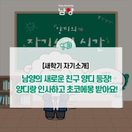 [새학기 자기소개] 남양의 새로운 친구 양디 등장! 양디랑 인사하고 초코에몽 받아요!