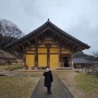 183. 아이와 충남 예산 수덕사 대웅전 풍경과 고려시대 건축물 특징을 살펴보는 역사 여행