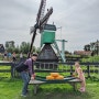 네덜란드 알쓸신잡 🇳🇱 : 네덜란드가 풍차의 나라인 이유 / Netherlands는 나라이름이 왜 s로 끝나는가!