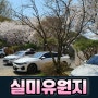 인천 벚꽃 차박 캠핑장-무의도 실미 유원지