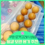 쿠팡 쇼핑 계란 로켓프레시-보관용기 정리하기 달걀번호 정보