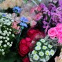 대전 산성동 꽃집 나이테플라워 화분 및 화환 배달 꽃집