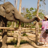태국여행 푸켓 3박5일(4박5일) 자유일정 코끼리먹이주기 빅부다 왓찰롱 올드타운